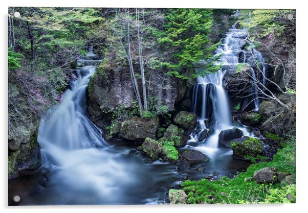 Dragon Falls Nikko Acrylic by Jonah Anderson Photography