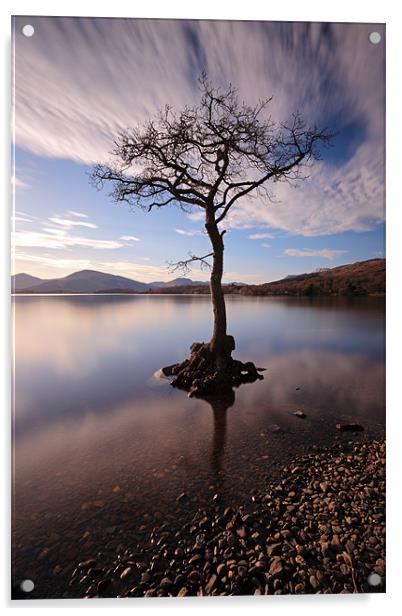 Lone tree in water Acrylic by Grant Glendinning