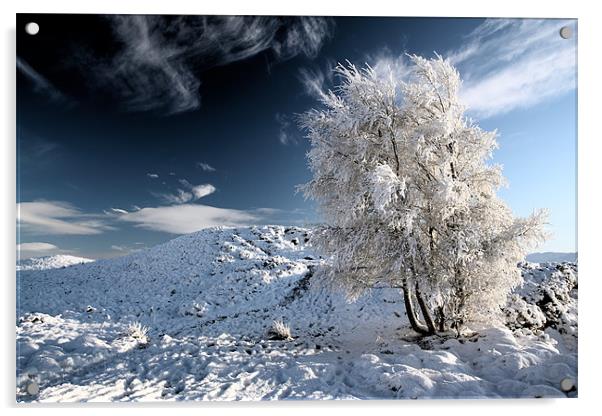 Glencoe snowscape Acrylic by Grant Glendinning