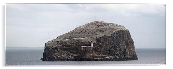 The Bass Rock Acrylic by Grant Glendinning