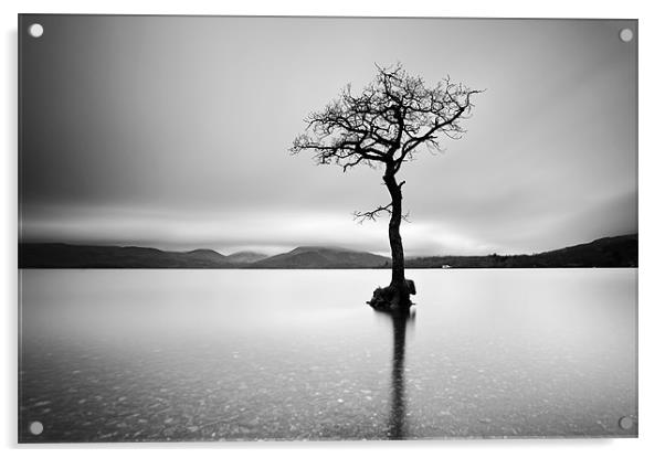 The Tree, Loch Lomond Acrylic by Grant Glendinning