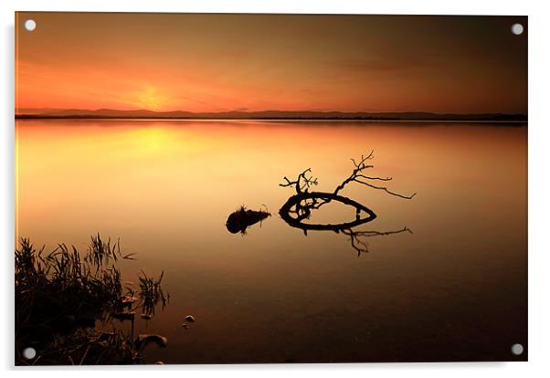 Loch leven Sunset Acrylic by Grant Glendinning