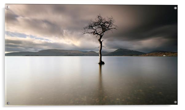Loch Lomond Tree Acrylic by Grant Glendinning