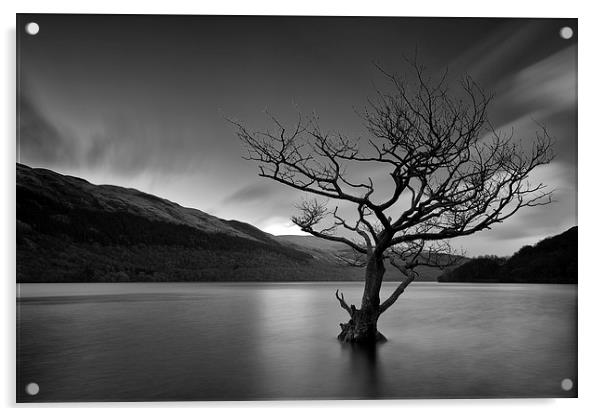  Loch Tree Acrylic by Grant Glendinning