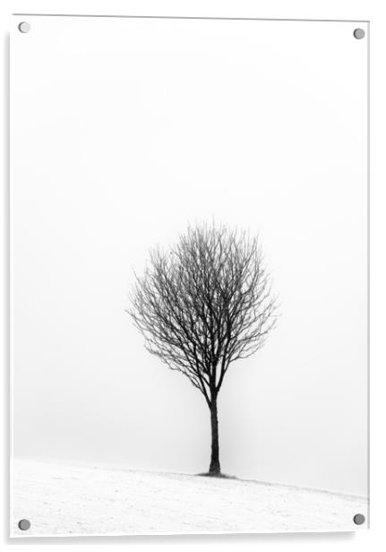 Little Tree Acrylic by Grant Glendinning