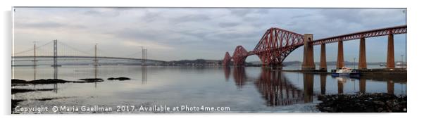 Firth of Forth Bridges at Sunset (Panorama) Acrylic by Maria Gaellman