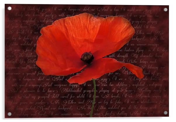 Red Poppy and Poem Acrylic by Daves Photography