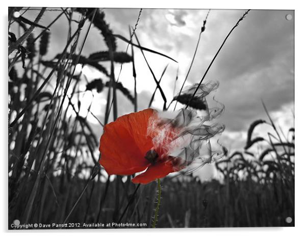 War Poppy - Burning Acrylic by Daves Photography