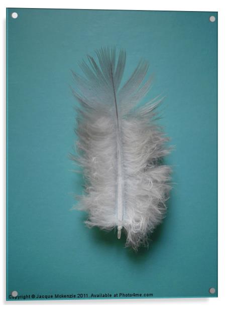 FEATHER Acrylic by Jacque Mckenzie
