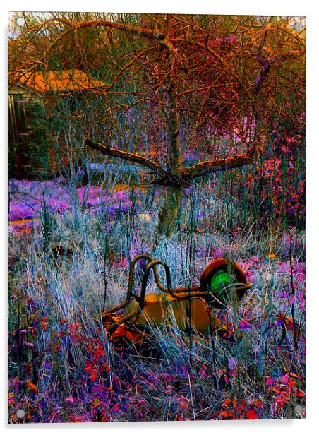 WHEELBARROW IN THE GRASS Acrylic by Jacque Mckenzie