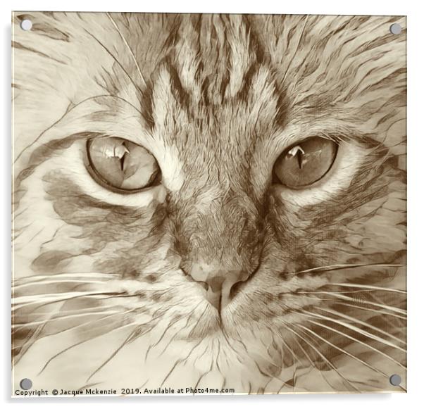 KIT CAT Acrylic by Jacque Mckenzie