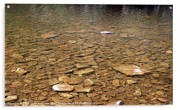 water stream over shining stones Acrylic by Wood Stocker