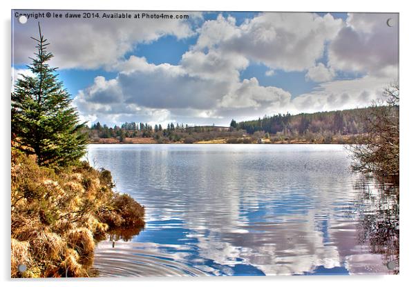 Fernworthy View Acrylic by Images of Devon