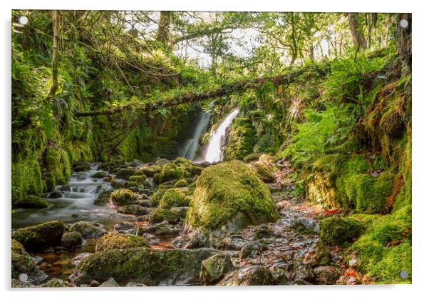 Venford Falls Dartmoor Acrylic by Images of Devon