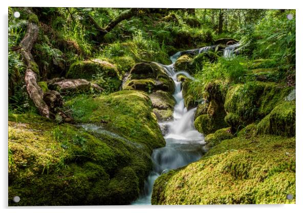 Dartmoor's little secret Acrylic by Images of Devon