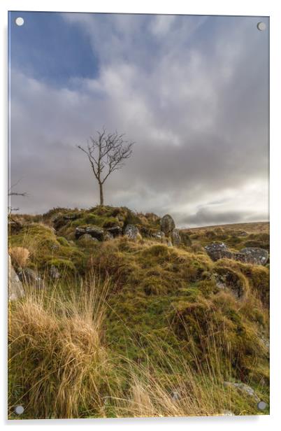 The lone tree Acrylic by Images of Devon