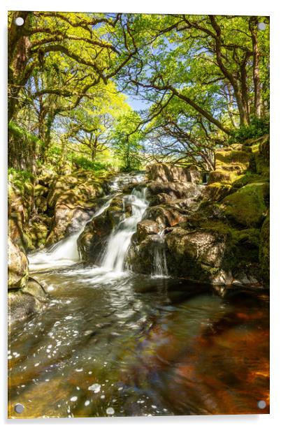 River Avon, Dartmoor Acrylic by Images of Devon