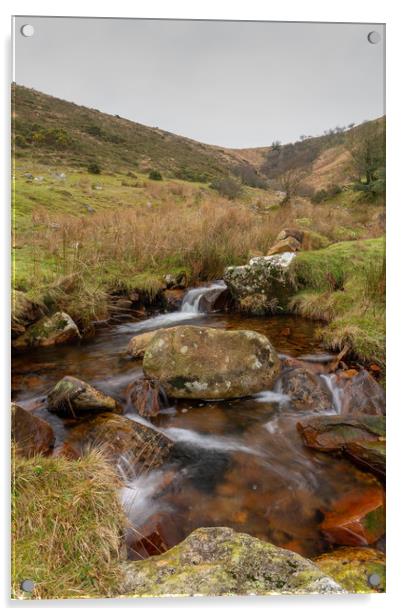 Dartmoor Stream Acrylic by Images of Devon