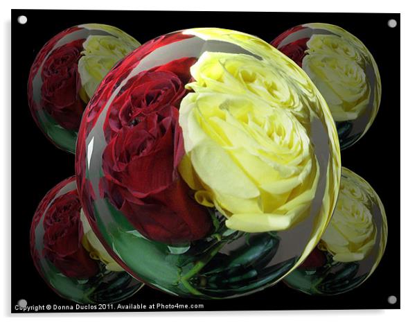 Rose Globes Acrylic by Donna Duclos