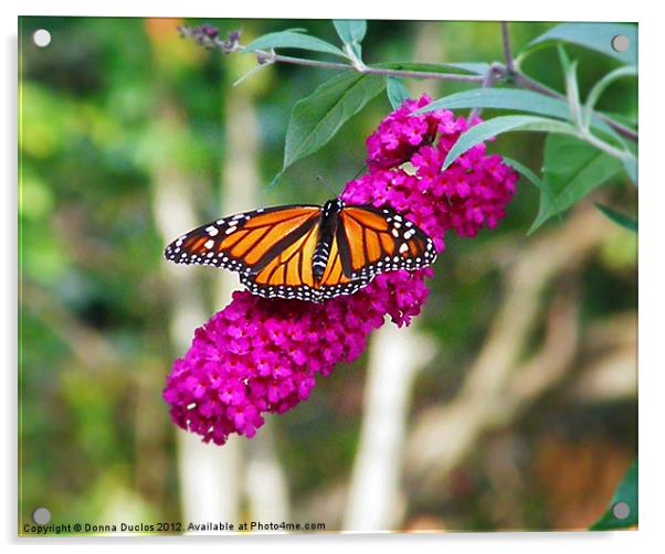 Monarch Butterfly Acrylic by Donna Duclos