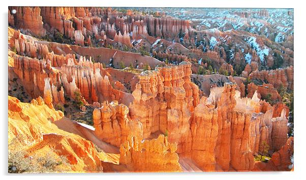 Bryce Canyon National Park Acrylic by Ian Collins