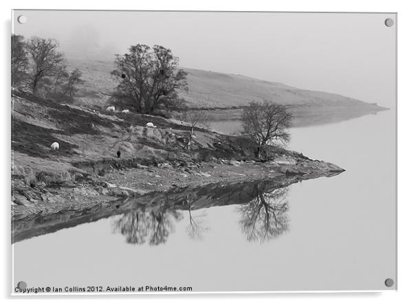 Elan Valley Reflections Acrylic by Ian Collins