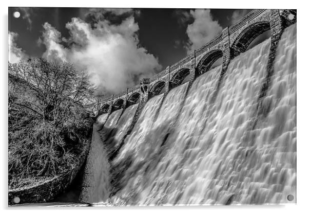 The Craig Goch Dam Acrylic by Ian Collins