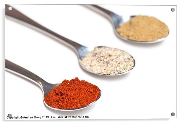 Spices on Spoons Acrylic by Andrew Berry