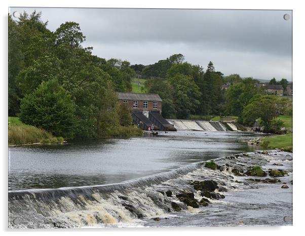 Hydroelectric station  and weir at Linton falls Acrylic by Angela Wallace