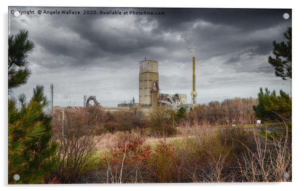 Cement plant Dunbar colour popped Acrylic by Angela Wallace