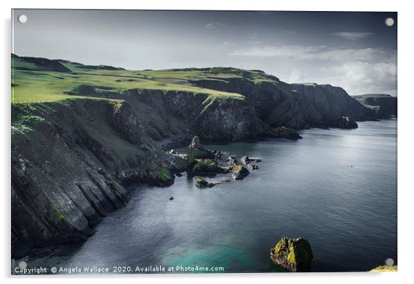 St Abbs dramatic cliffs Acrylic by Angela Wallace