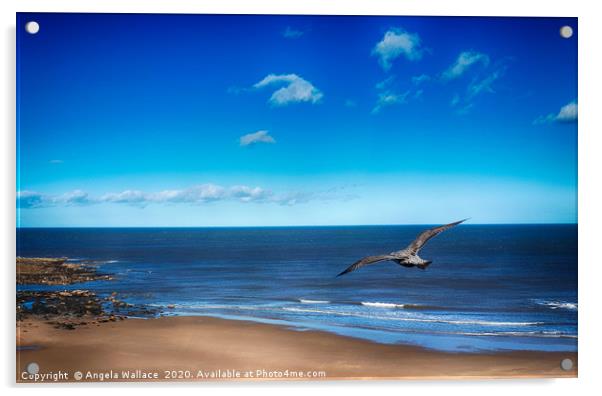 A Birds Eye View Acrylic by Angela Wallace
