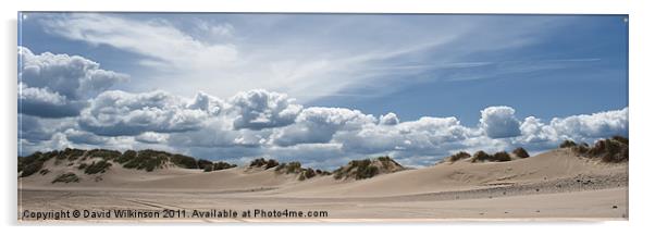 Sand Dunes Acrylic by Dave Wilkinson North Devon Ph