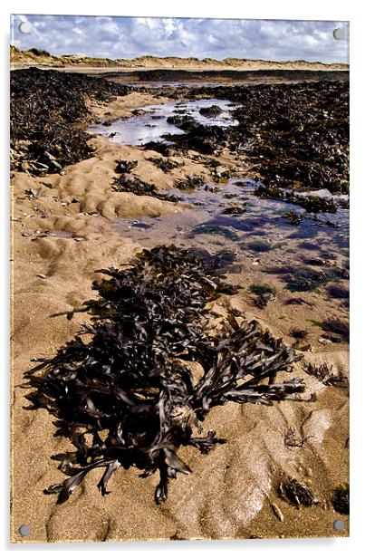 Rock Pool Acrylic by Dave Wilkinson North Devon Ph