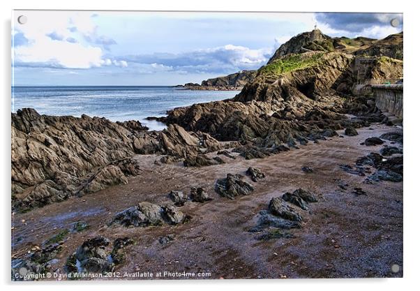 Ilfracombe Daytime Acrylic by Dave Wilkinson North Devon Ph