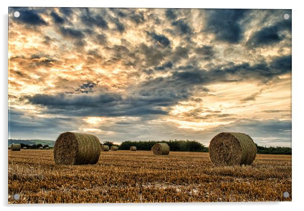 Straw Bales Acrylic by Dave Wilkinson North Devon Ph