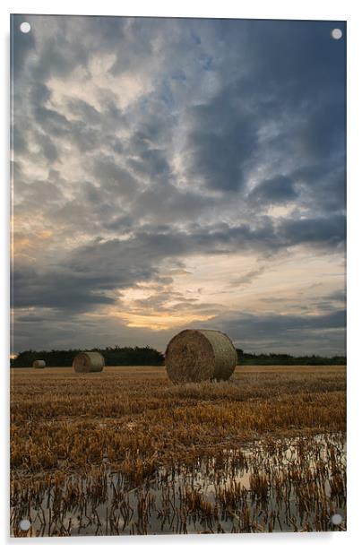Straw Bales Acrylic by Dave Wilkinson North Devon Ph