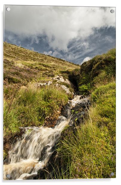 Exmoor Acrylic by Dave Wilkinson North Devon Ph