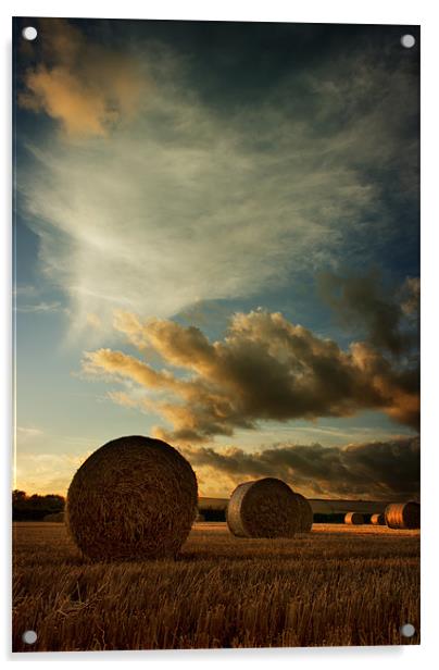Straw Bales Sunset Acrylic by Dave Wilkinson North Devon Ph