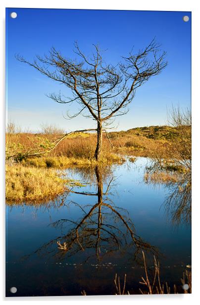 Braunton Burrows Acrylic by Dave Wilkinson North Devon Ph