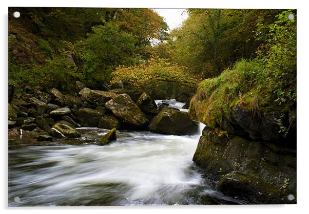 River Lyn Acrylic by Dave Wilkinson North Devon Ph