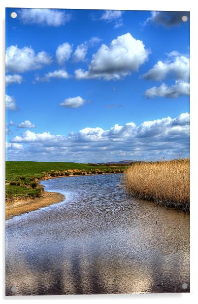 Braunton Marsh Acrylic by Dave Wilkinson North Devon Ph