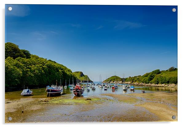 Watermouth Cove North Devon Acrylic by Dave Wilkinson North Devon Ph