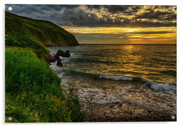 Baggy Point Acrylic by Dave Wilkinson North Devon Ph