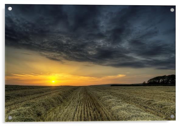 Harvest on Braunton Great Field North Devon Acrylic by Dave Wilkinson North Devon Ph