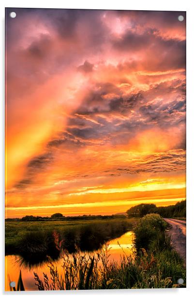 Sunset by Braunton Marsh Acrylic by Dave Wilkinson North Devon Ph