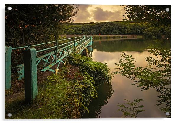  Slade Reservoir, Nr Ilfracombe. Acrylic by Dave Wilkinson North Devon Ph