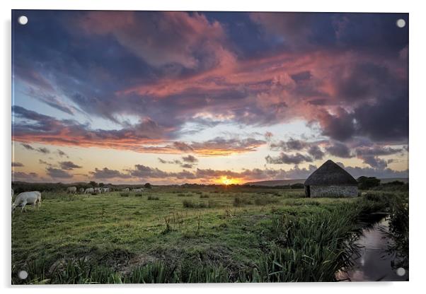  Braunton Marsh, North Devon Acrylic by Dave Wilkinson North Devon Ph