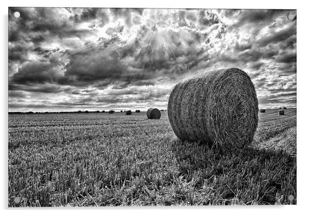 Harvest Time Acrylic by Rick Parrott