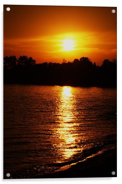 Evening Sun Acrylic by kurt bolton